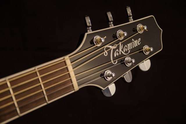 Takamine P5DC acoustic guitar review